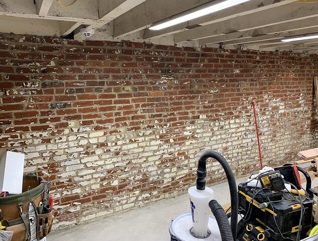 46161295142_ea573397e6_z